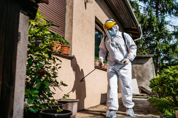 Professional Pest Control in Dublin, OH