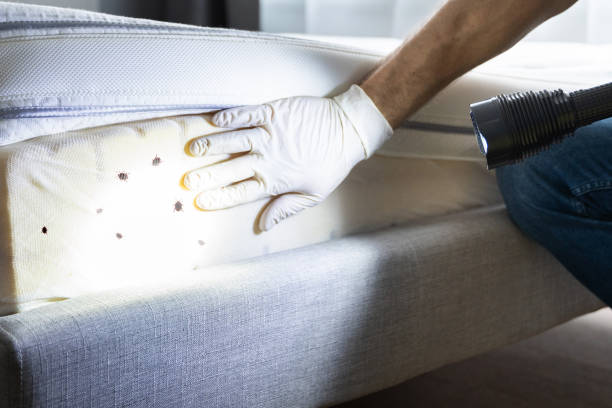 Best Pest Inspection Near Me  in Dublin, OH