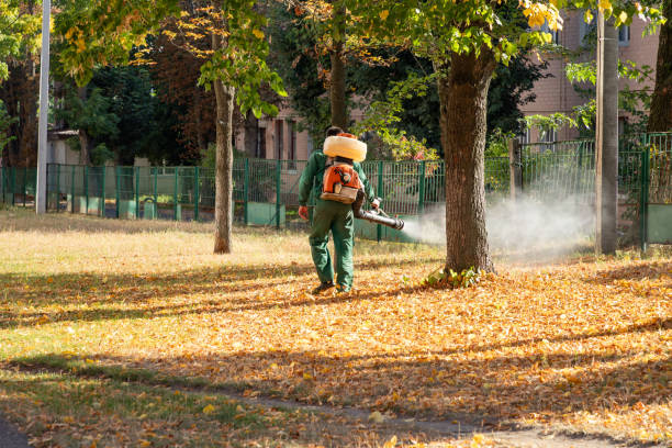 Best Bed Bug Extermination  in Dublin, OH