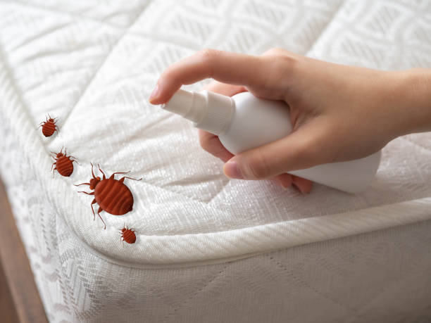 Best Best Pest Control Companies  in Dublin, OH