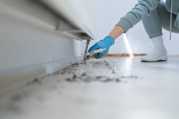 Best Rat Extermination Near Me  in Dublin, OH