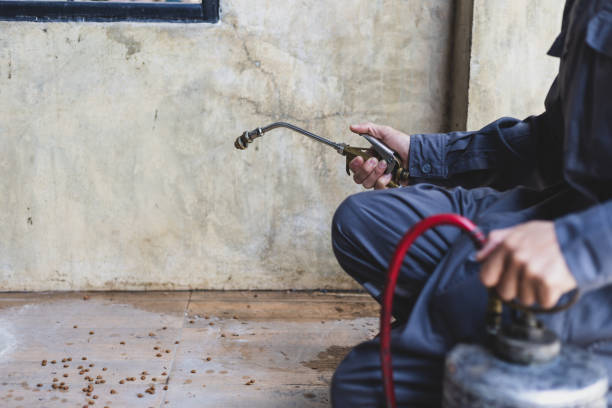Best Wasp Removal Services  in Dublin, OH